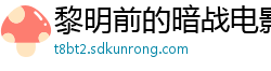 黎明前的暗战电影院片段